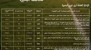 إزالة الأراضي المخالفة وفرض غرامات مالية.. “وزارة الري” تخصص 106,650 فدان لزراعة الأرز في البحيرة