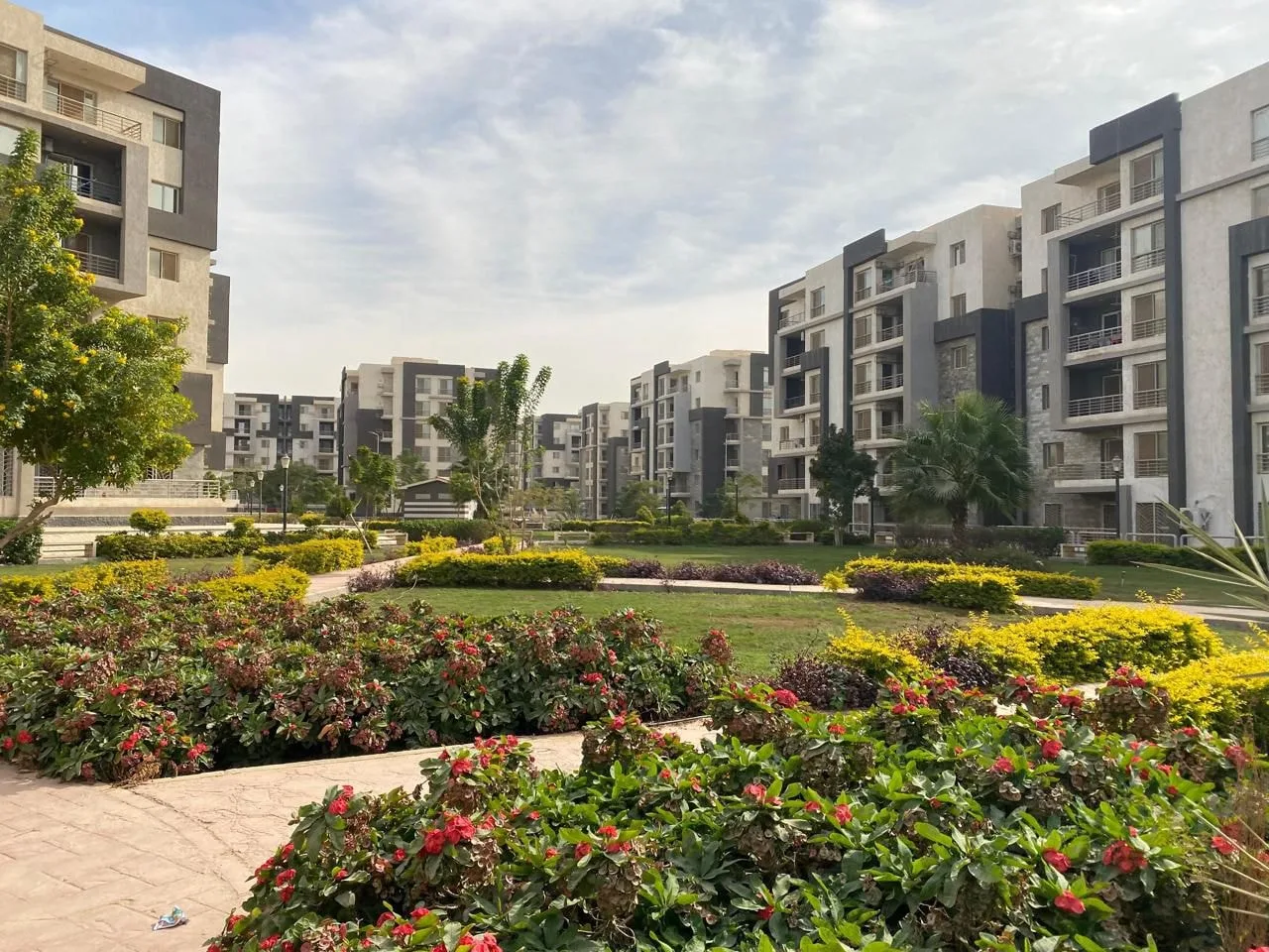 إسكان القاهرة الجديدة تبدأ تسليم وحدات مشروع «جنة» للمستفيدين اعتبارًا من الأحد المقبل إسكان القاهرة الجديدة تبدأ تسليم وحدات مشروع «جنة» للمستفيدين اعتبارًا من الأحد المقبل