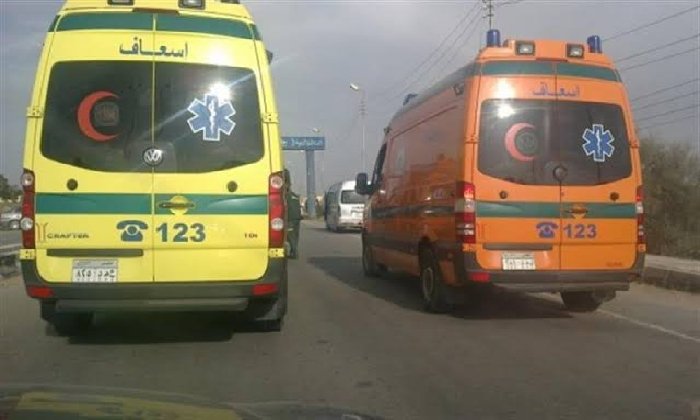 إصابة 13 عاملًا في انقلاب تروسيكل بالفيوم
