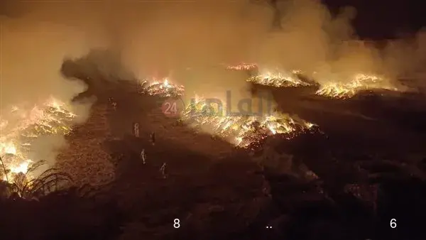 إصابة 6 أشخاص في حريق شونة كتان بالغربية.. والدفع بـ سيارات مياه و8 لوادر للسيطرة