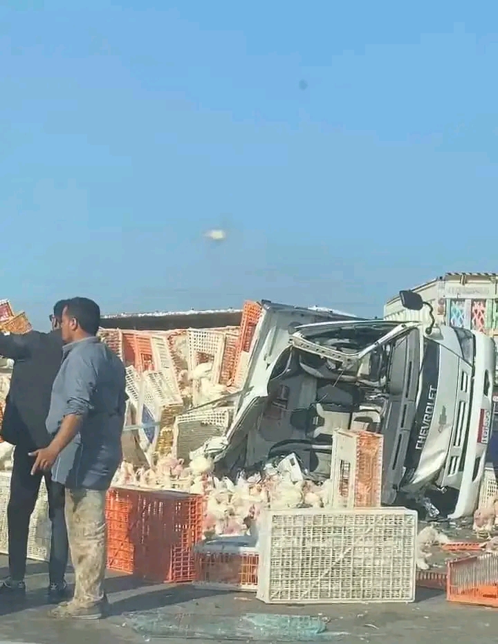 إصابة سائق في انقلاب سيارة محملة بالدواجن بإقليمي المنوفية |صور
