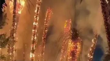 إطفاء نيران كبيرة في مستودع للحلويات بمدينة المنصورة
