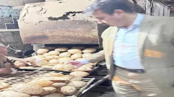 إطلاق 12 محضر مخالفة متنوعة خلال حملة رقابية في شبين الكوم