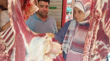 إعدام 2855 رأس من الماشية في المجازر الحكومية ومصادرة 719 كجم من اللحوم الفاسدة