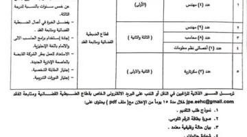 إعلانات جديدة للوظائف من الكهرباء بشأن الضبطية القضائية ومتابعة الفقد (التفاصيل)