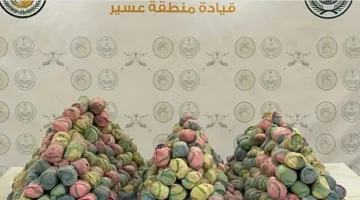 إفشال عملية تهريب 200 كيلوغرام من نبتة القات في منطقة عسير