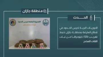 إفشال محاولة تهريب 120 كيلوغرامًا من القات المخدر في جازان
