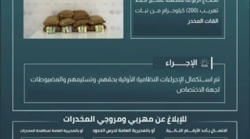 إفشال محاولة تهريب 200 كجم من القات في الربوعة