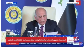 إكرام بدر الدين: مفهوم القوة العربية الموحدة ليس بجديد.