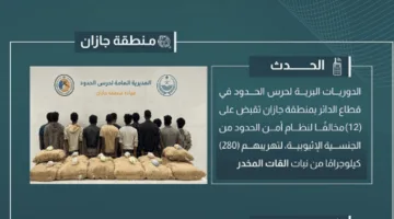 إلقاء القبض على 12 شخصًا بتهمة تهريب 280 كيلوجرامًا من القات في جازان