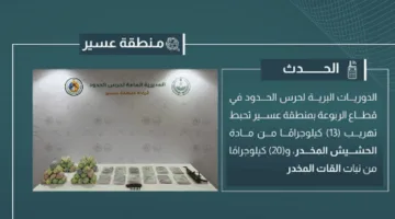 إلقاء القبض على 13 كيلوجرامًا من الحشيش و20 كيلوجرامًا من القات في عسير.