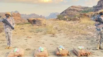 إلقاء القبض على 3 أشخاص لتهريب 40 كيلوجرامًا من نبتة القات في منطقة جازان