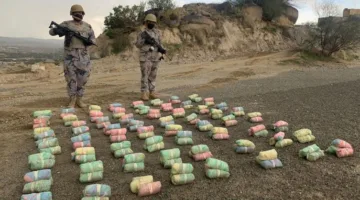 إلقاء القبض على 5 أشخاص بتهمة تهريب 100 كيلوغرام من القات