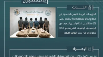 إلقاء القبض على 6 أشخاص لتهريبهم 120 كيلوغراماً من القات في جازان