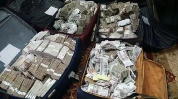 إلقاء القبض على المتهم بغسيل 150 مليون جنيه من عائدات الاحتيال في الجيزة