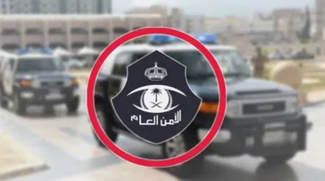 إلقاء القبض على ثلاثة وافدين في مركز تدليك بالرياض بسبب انتهاكهم للقوانين العامة.
