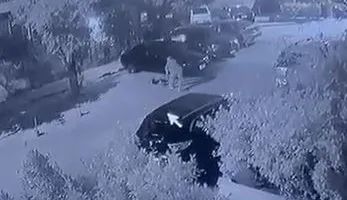 إلقاء القبض على شخص اعتدى على كلب ضال حتى قتله في منطقة النزهة
