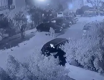 إلقاء القبض على شخص اعتدى على كلب ضال حتى قتله في منطقة النزهة إلقاء القبض على شخص اعتدى على كلب ضال حتى قتله في منطقة النزهة