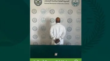 إلقاء القبض على شخص في محافظة رفحاء بتهمة ترويج مخدر الإمفيتامين