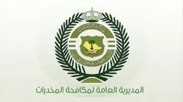 إلقاء القبض على شخصين في المنطقة الشرقية بتهمة ترويج 6 كيلوجرامات من المخدرات.