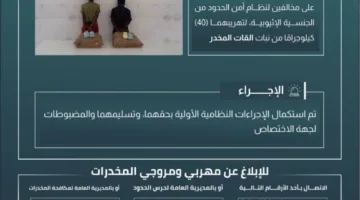إلقاء القبض على مخالفين لتهريبهم 40 كيلوغرامًا من القات في الربوعة