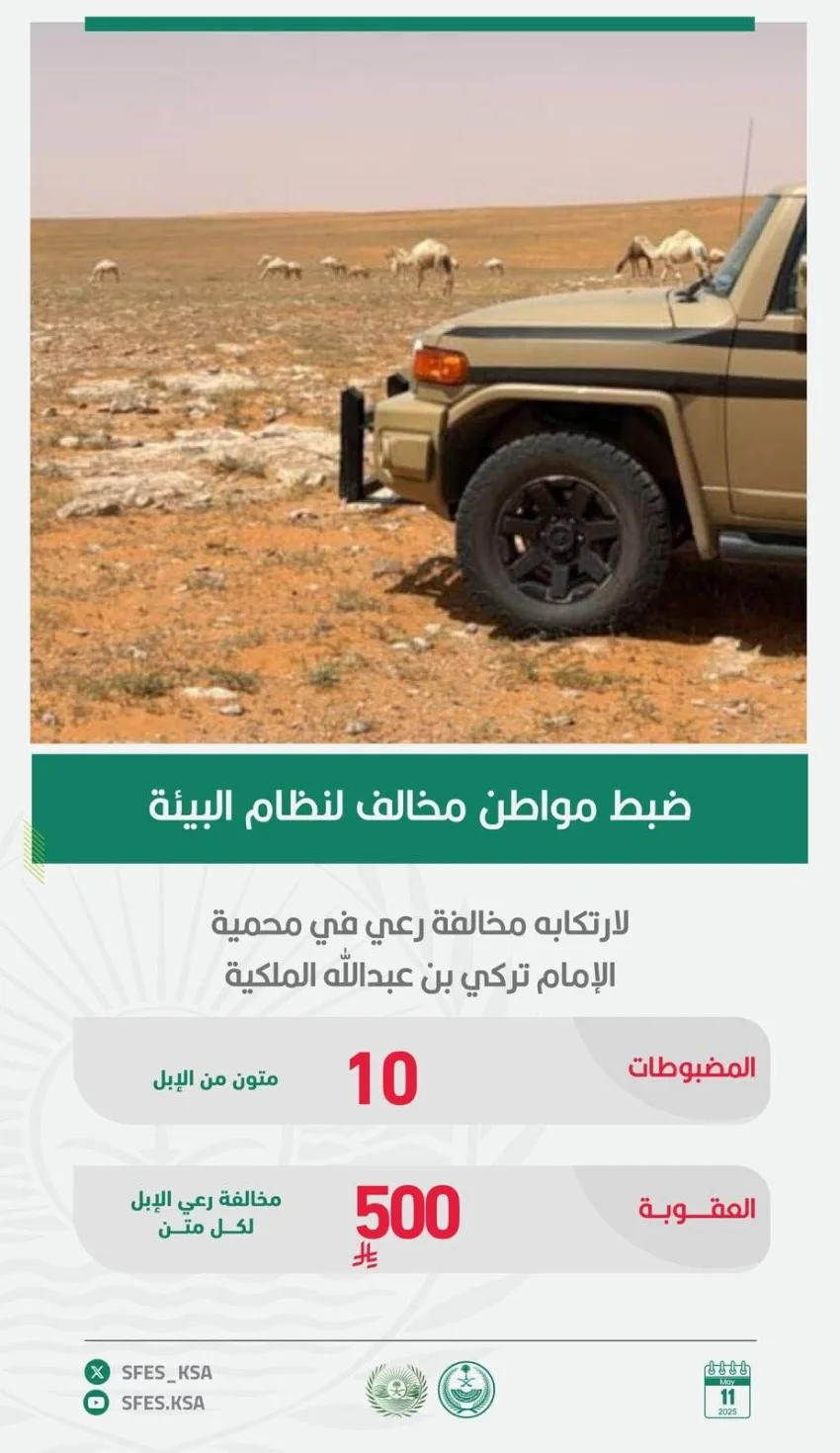 إلقاء القبض على مواطن خالف قواعد البيئة بالرعي في منطقة ممنوعة