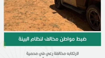 إلقاء القبض على مواطن لتربيته مجموعة من الإبل في محمية الإمام تركي بن عبدالله الملكية