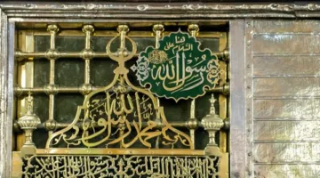 إمام الفتوى: لا يجوز نفي زيارة قبر النبي ﷺ، فهذه السنة تمت بالإجماع بين العلماء