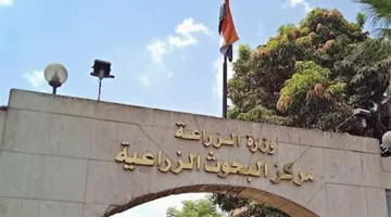 رئيس مركز البحوث الزراعية يزور المعهد الدولي للبحوث الزراعية “إيكاردا” في المغرب