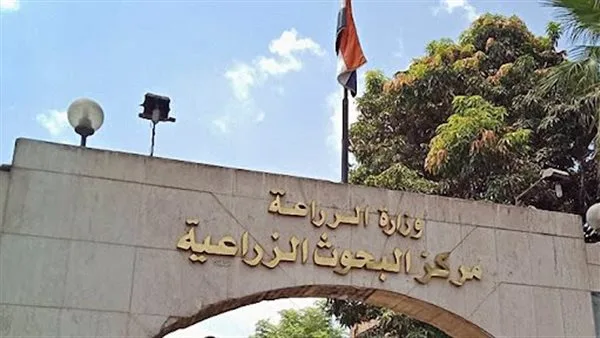 رئيس مركز البحوث الزراعية يزور المعهد الدولي للبحوث الزراعية “إيكاردا” في المغرب رئيس مركز البحوث الزراعية يزور المعهد الدولي للبحوث الزراعية “إيكاردا” في المغرب