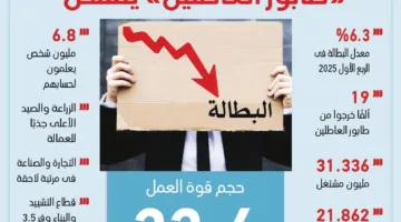 إنفوجراف: انخفاض معدلات البطالة و”طابور الباحثين عن العمل” يتضاءل