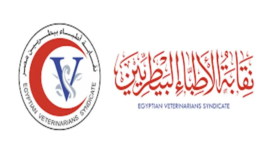 احتفال “البيطريين”: وزارة الزراعة تكشف عن تعيين 4000 طبيب بيطري قريبًا لدعم خطط الدولة في مجال الثروة الحيوانية. احتفال “البيطريين”: وزارة الزراعة تكشف عن تعيين 4000 طبيب بيطري قريبًا لدعم خطط الدولة في مجال الثروة الحيوانية.