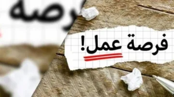 احتيالات فرص العمل… القبض على المتهم بالنصب في مدينة نصر