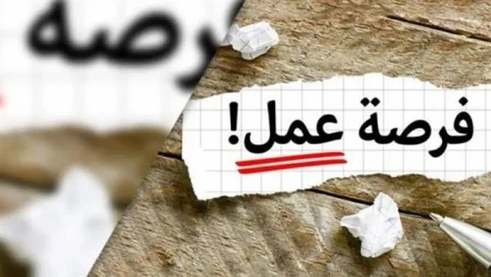 احتيالات فرص العمل… القبض على المتهم بالنصب في مدينة نصر احتيالات فرص العمل… القبض على المتهم بالنصب في مدينة نصر