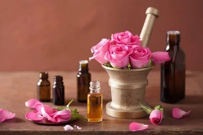 ارتفاع إنتاج الورد العطري في بورزازات إلى أكثر من 4.800 طن خلال الموسم الفلاحي الحالي
