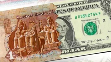 ارتفاع الجنيه المصري مقابل الدولار بنسبة 3% خلال 40 يومًا.. اكتشف الأسباب وراء ذلك.