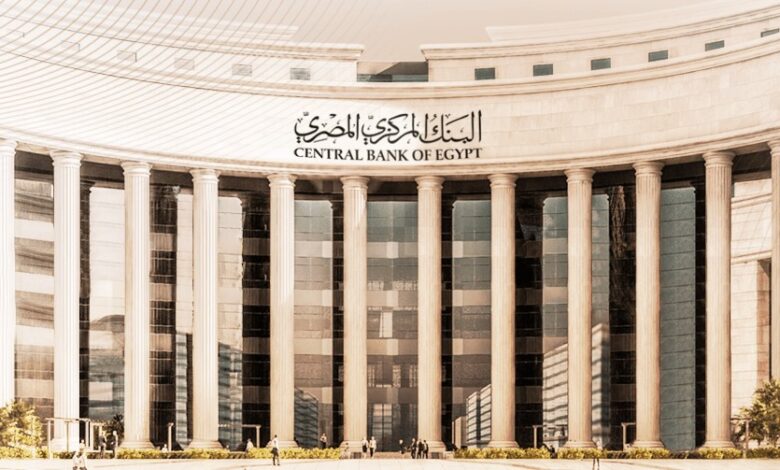 البنك المركزي: ارتفاع تدفقات الاستثمار الأجنبي المباشر لتسجل 6 مليار دولار بالنصف الأول من 2024/ 2025