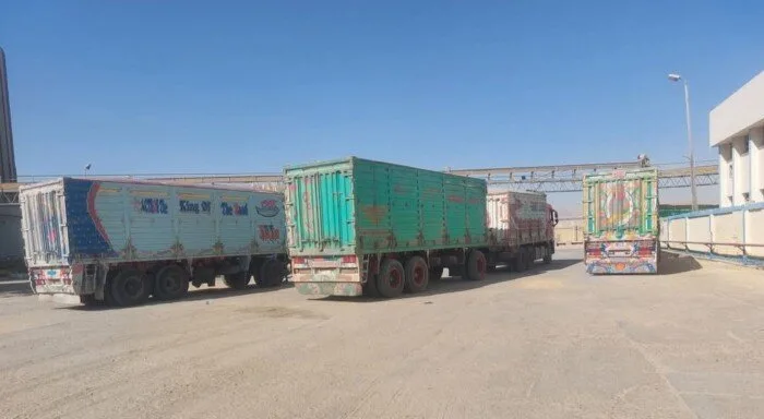 ارتفاع كميات القمح المحلي الموردة للشون والصوامع بمراكز أسيوط لتصل إلى 89 ألف طن
