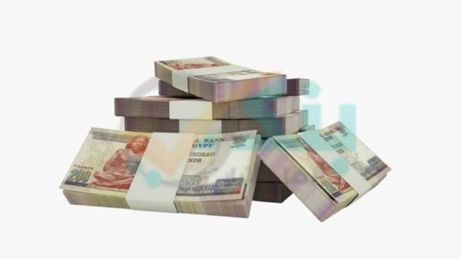 ارتفاع محفظة ودائع العملاء ببنك الإمارات دبي الوطني لـ134.779 مليار جنيه بنهاية الربع الأول من 2025
