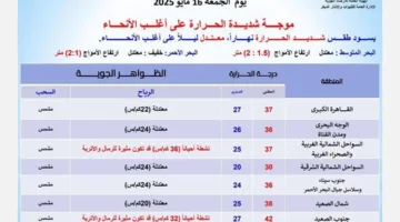 ارتفاع ملحوظ في درجات الحرارة.. هيئة الأرصاد تحذر من توقعات الطقس ليوم الجمعة 16 مايو 2025