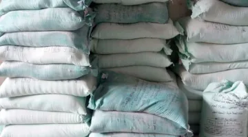 استحواذ على 8 أطنان من الدقيق الأبيض والبلدي خلال حملة تموينية شاملة