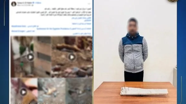 استخدم عصا بمسامير.. القبض على راعي أغنام بالبحيرة بتهمة التعدي على كلاب ضالة وقتلها