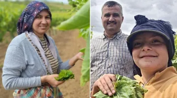 استراتيجية ذكية لزيادة رواتب النساء في مانيسا التركية