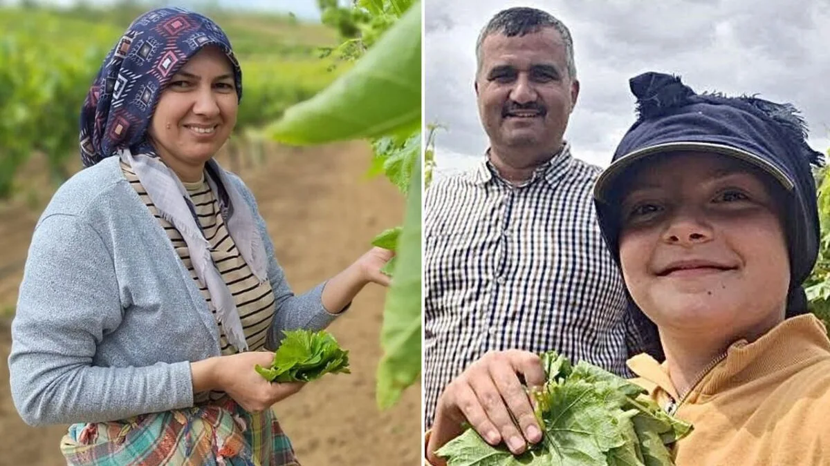استراتيجية ذكية لزيادة رواتب النساء في مانيسا التركية استراتيجية ذكية لزيادة رواتب النساء في مانيسا التركية