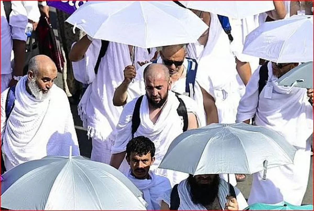 استشاري في الطوارئ: نوصي جميع الحجاج بتجنب التعرض المباشر لأشعة الشمس. استشاري في الطوارئ: نوصي جميع الحجاج بتجنب التعرض المباشر لأشعة الشمس.
