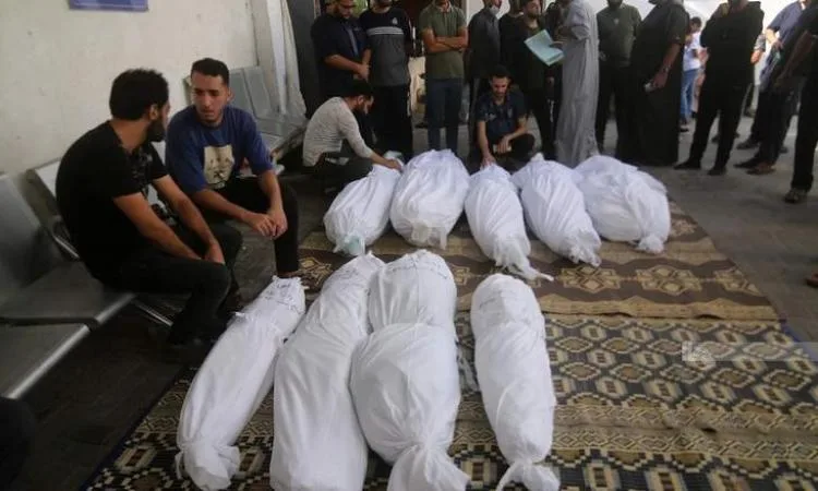 استشهاد 14 فلسطينياً وجرح آخرين نتيجة استمرار قصف الاحتلال الإسرائيلي استشهاد 14 فلسطينياً وجرح آخرين نتيجة استمرار قصف الاحتلال الإسرائيلي