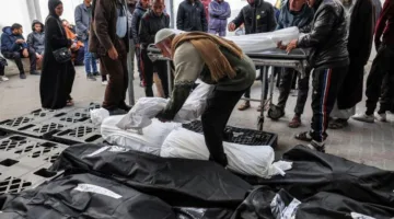 استشهاد 17 شخصاً وإصابة آخرين جراء غارة إسرائيلية في قطاع غزة.
