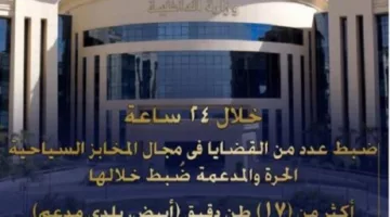 استعادة 17 طنًا من الدقيق المدعوم في عمليات تفتيش تموينية خلال يوم واحد