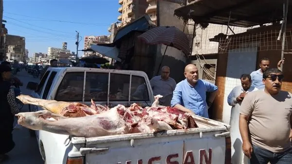 استعادة 500 كيلوجرام من اللحوم غير الصالحة للاستهلاك خلال حملة شاملة في منوف استعادة 500 كيلوجرام من اللحوم غير الصالحة للاستهلاك خلال حملة شاملة في منوف