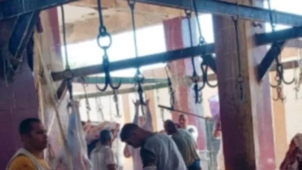 استعدادا لعيد الأضحى.. تجهيز 13 مجزرا بأسوان للحوم الأضاحي